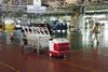 Marutiplant.jpg