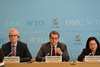 WTO_opt
