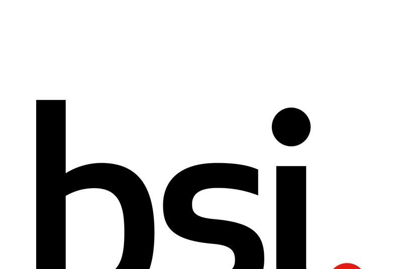 Amazon.com: BSI Products Inc.